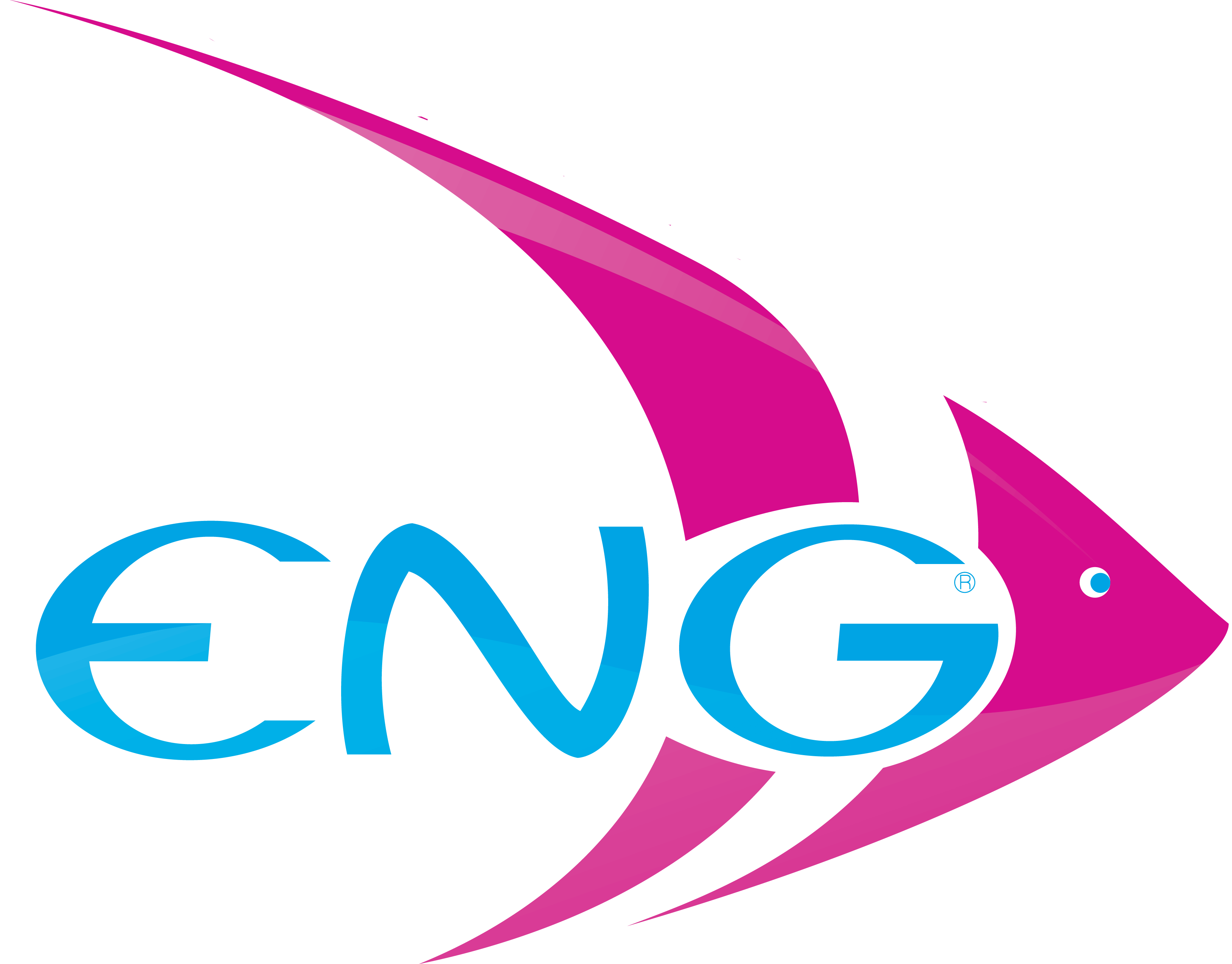 Logo Ecole de Natation de Genève