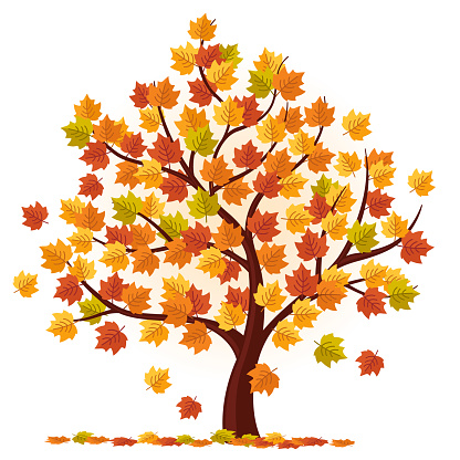 Autumn Tree vector