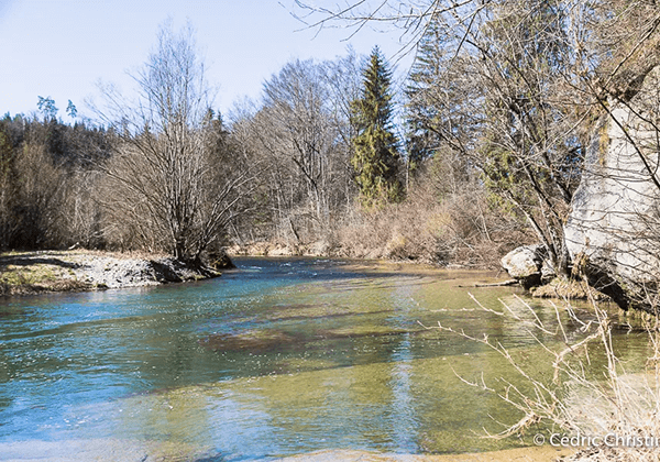 Hauterive